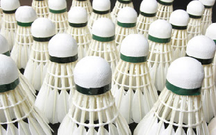 Badminton