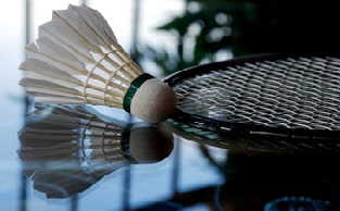 Badminton
